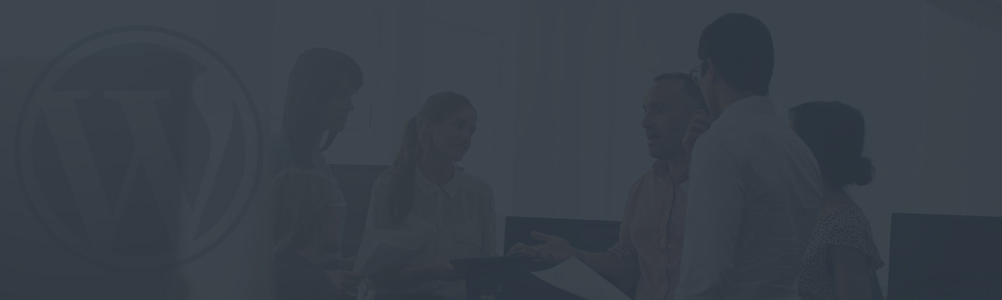 Pinnacle Host WordPress Design